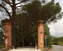 Esterni